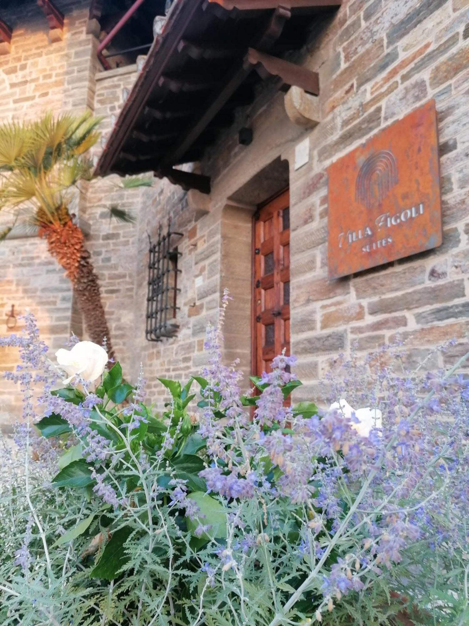 Villa Figoli Suites 阿伦扎诺 外观 照片