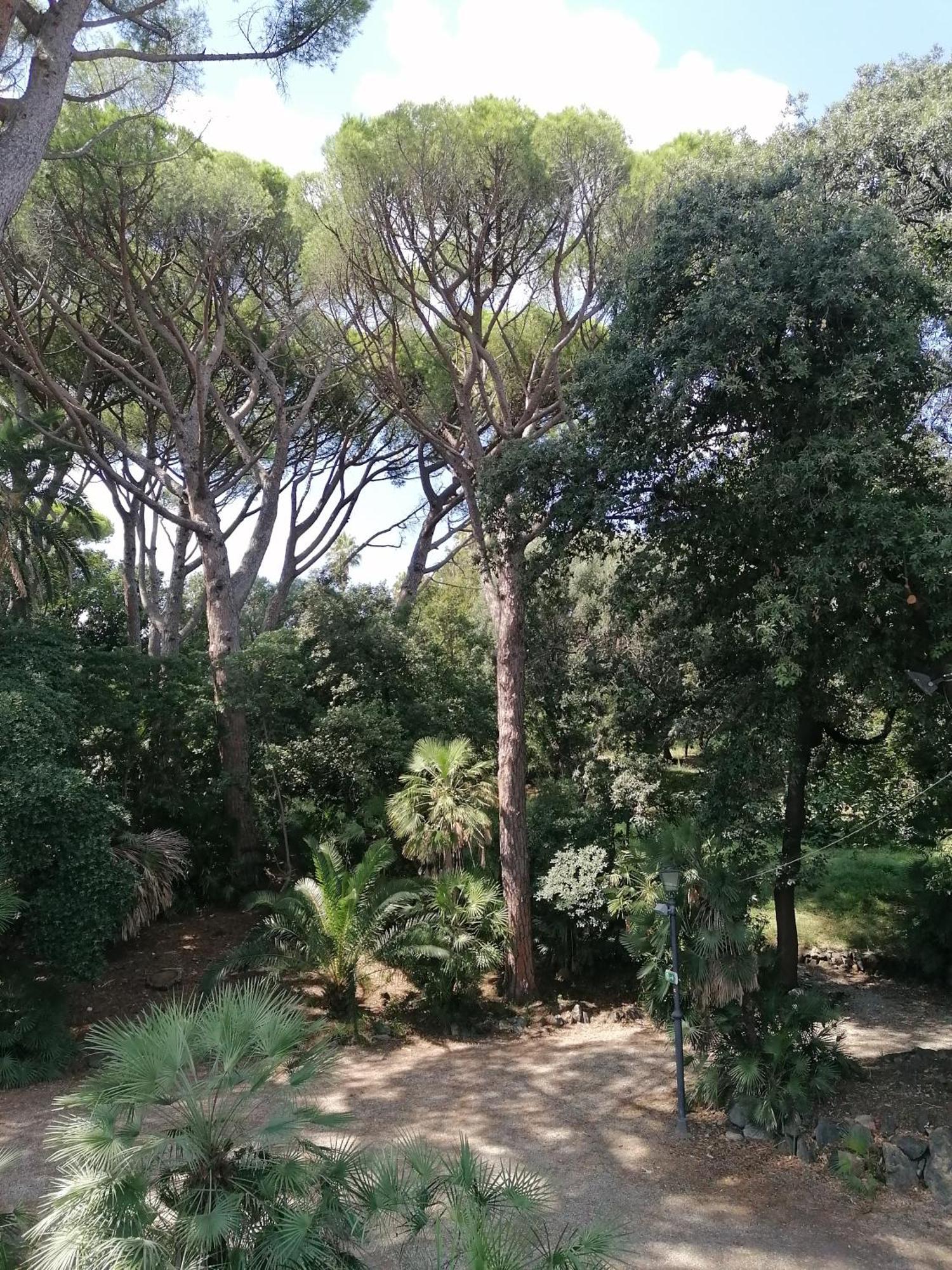 Villa Figoli Suites 阿伦扎诺 外观 照片